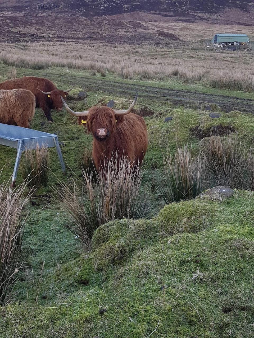 Trotternish B&B Kingsburgh Exteriér fotografie